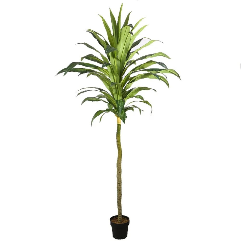 Artificial Money Tree Plant