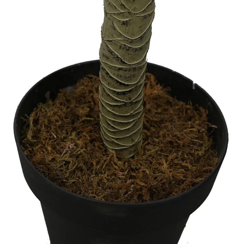 Artificial Money Tree Plant