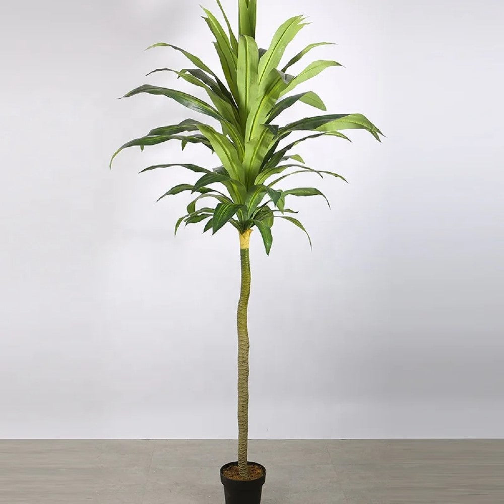 Artificial Money Tree Plant