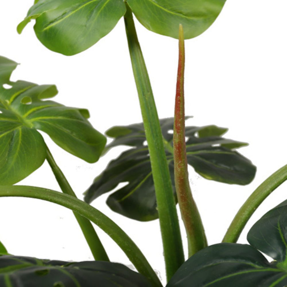 Artificial Deliciosa Leaf Plant