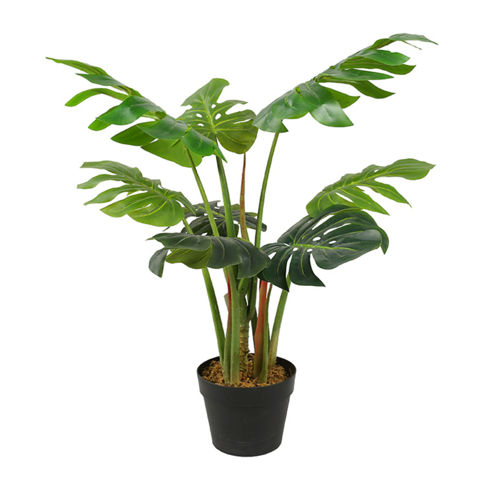 Artificial Deliciosa Leaf Plant