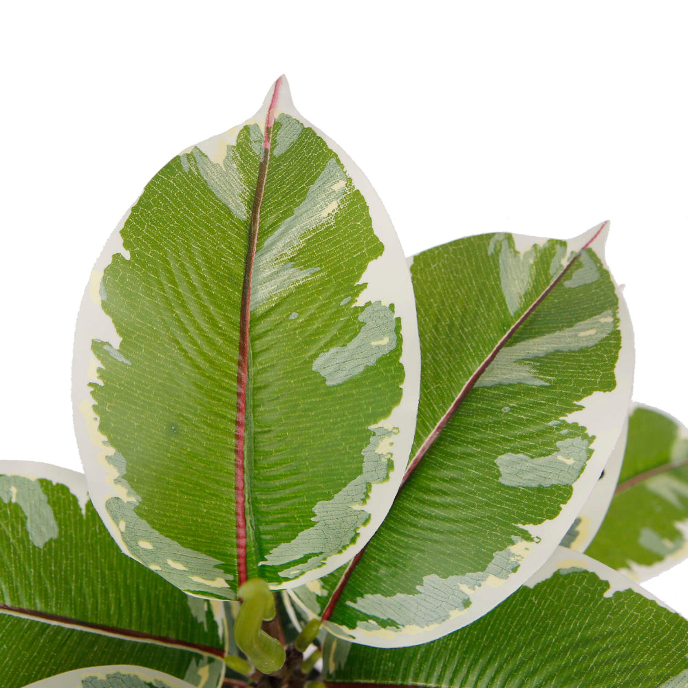 Artificial Oak Tree Ficus In Pot