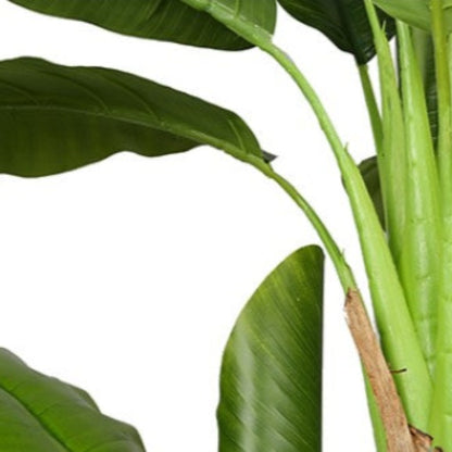 Artificial Ornamental Banana Tree