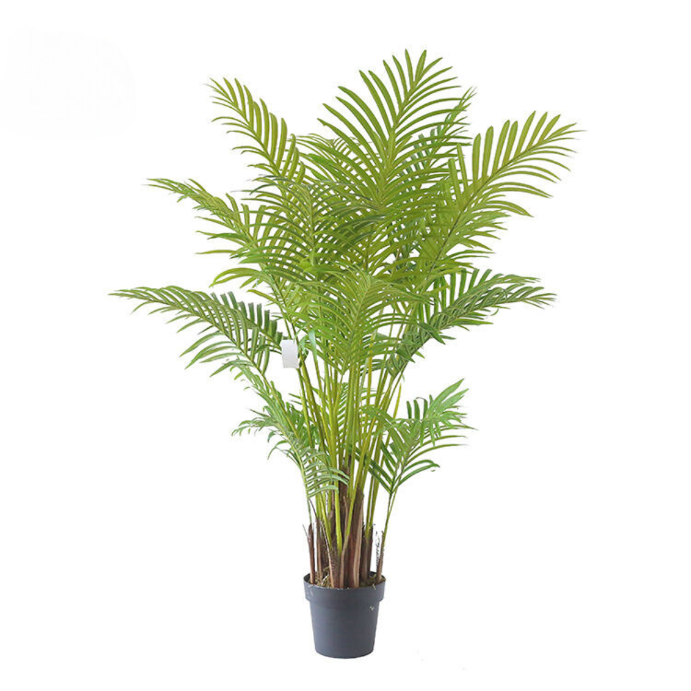 Artificial Parlor Howea Plant for Hotel