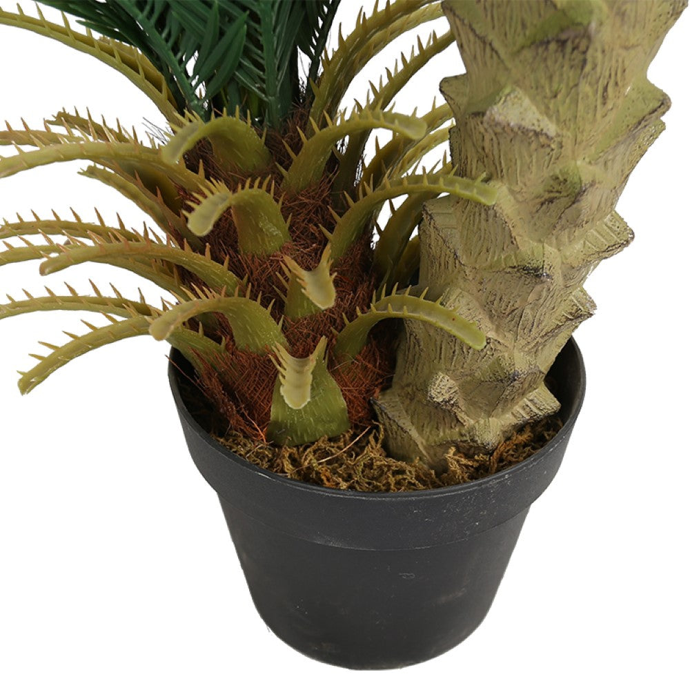 Artificial Plastic Cycas Tree For Indoor Decoration