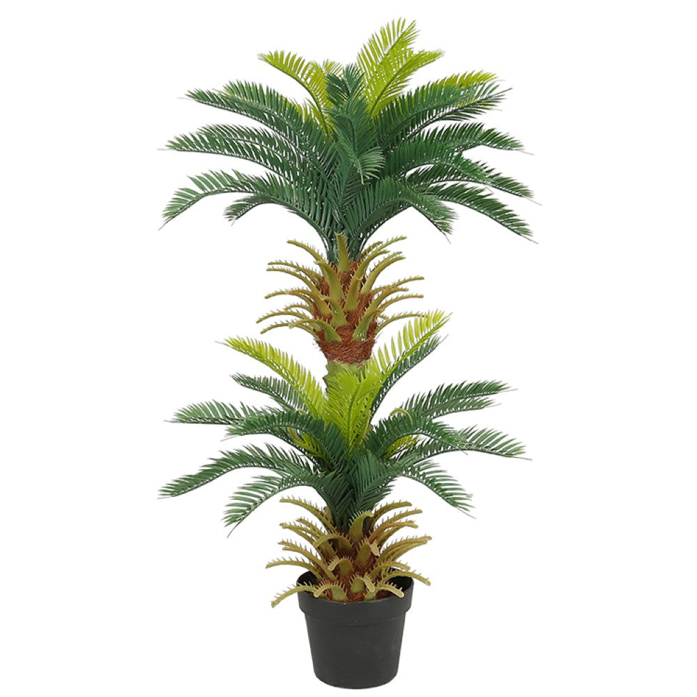 Artificial Plastic Cycas Tree For Indoor Decoration