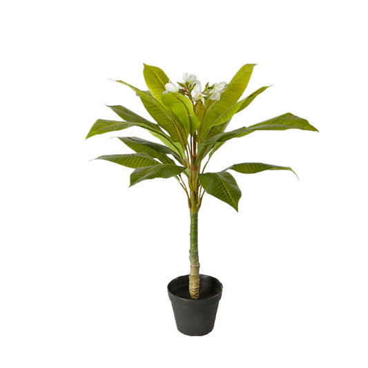 Artificial Plumeria Tree In Pot