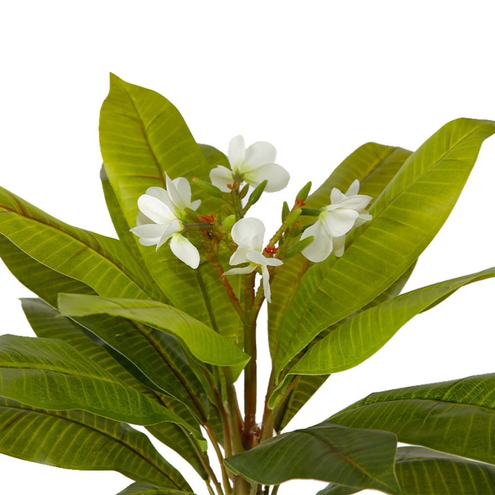 Artificial Plumeria Tree In Pot