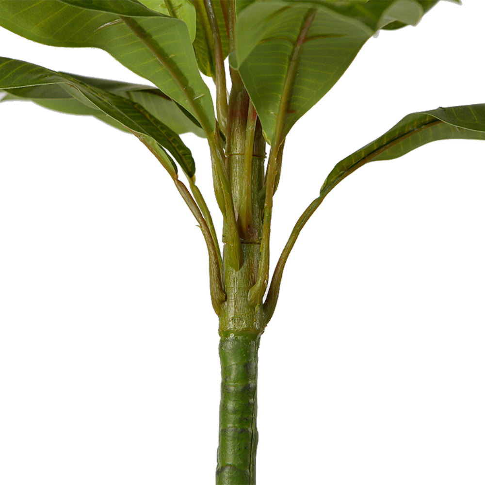 Artificial Plumeria Tree In Pot