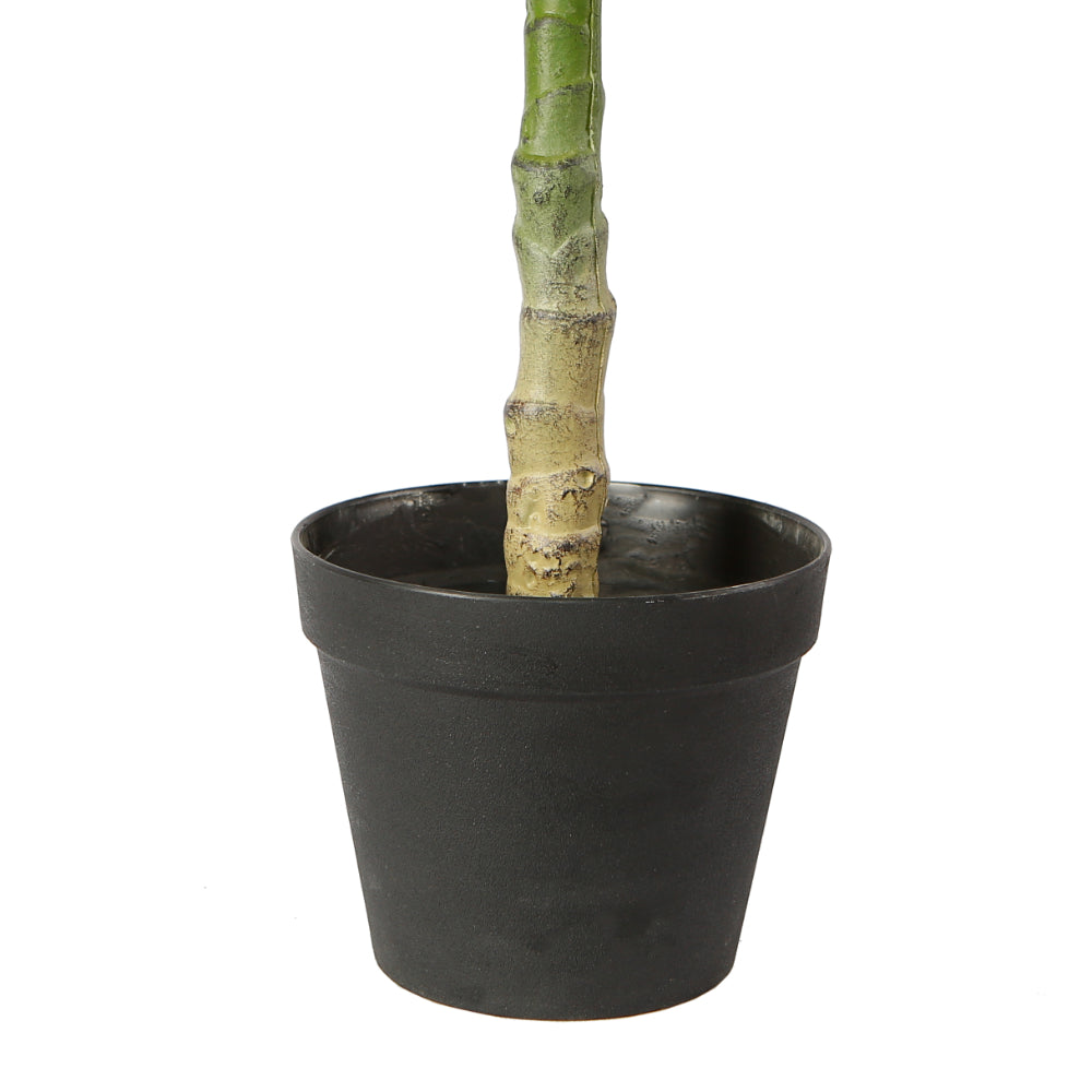 Artificial Plumeria Tree In Pot