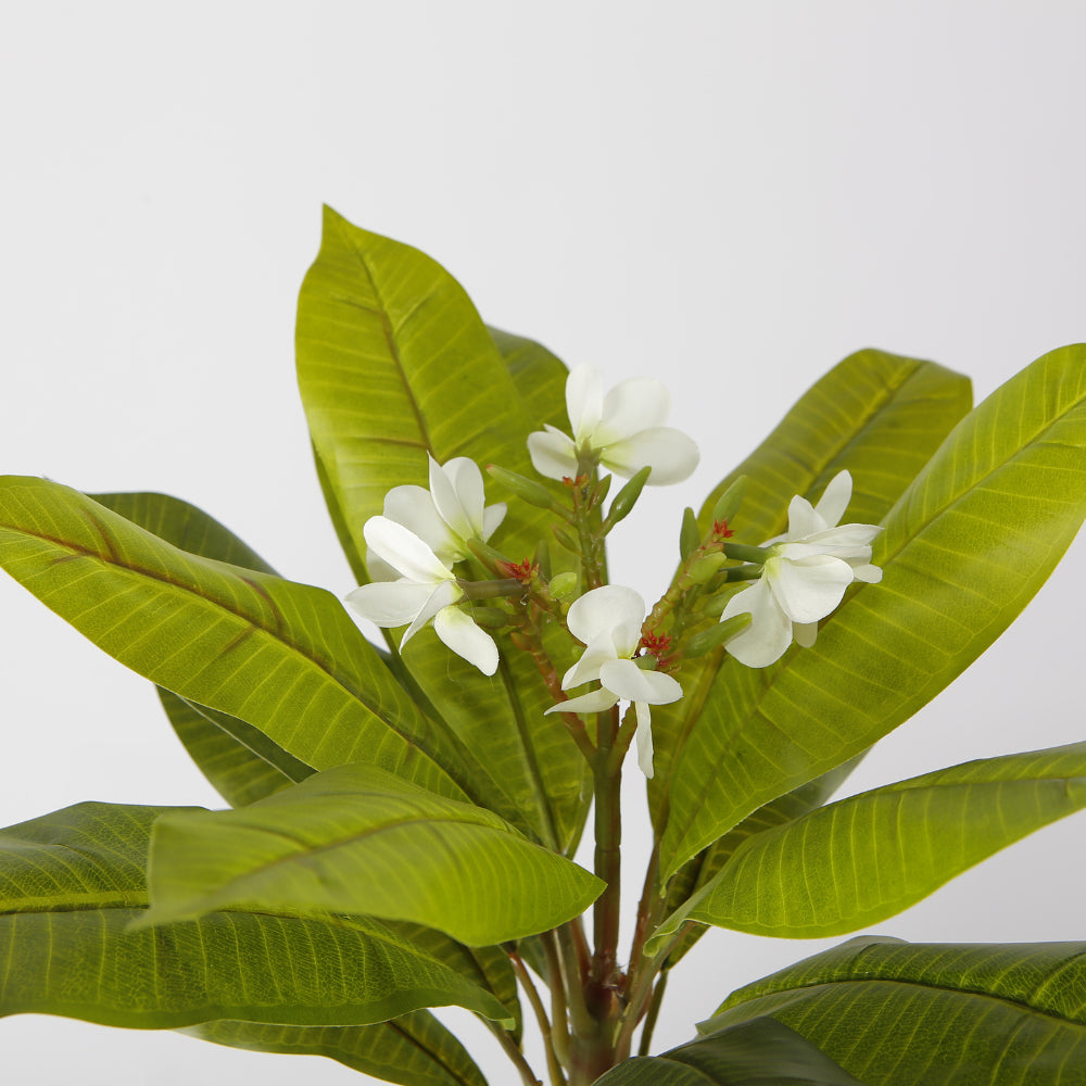 Artificial Plumeria Tree In Pot