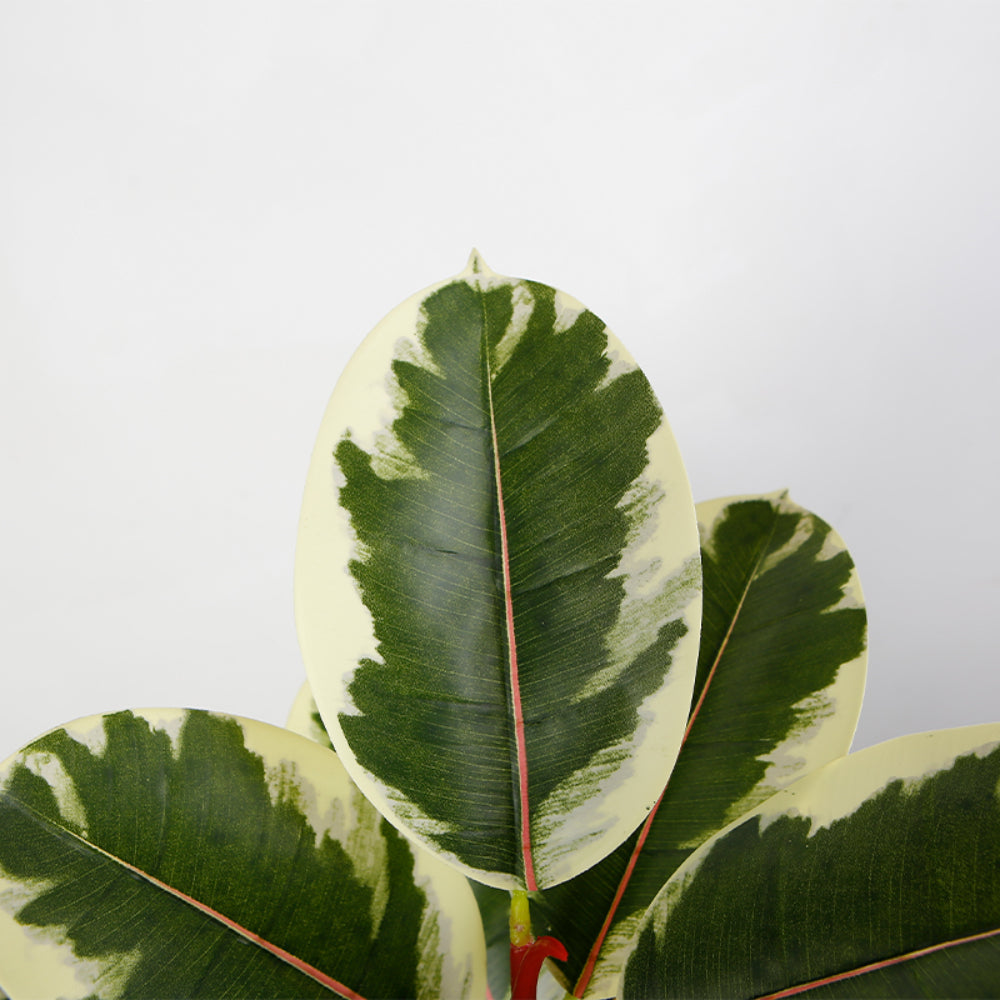 Artificial Potted Oak Tree