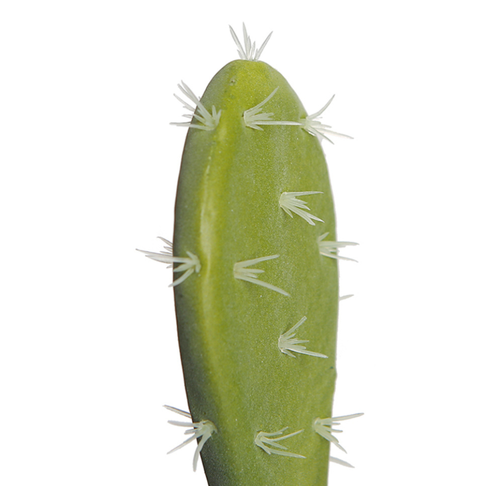 Artificial Prickly Pear Cactus In Terracotta Pot
