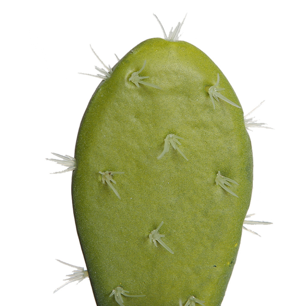 Artificial Prickly Pear Cactus In Terracotta Pot
