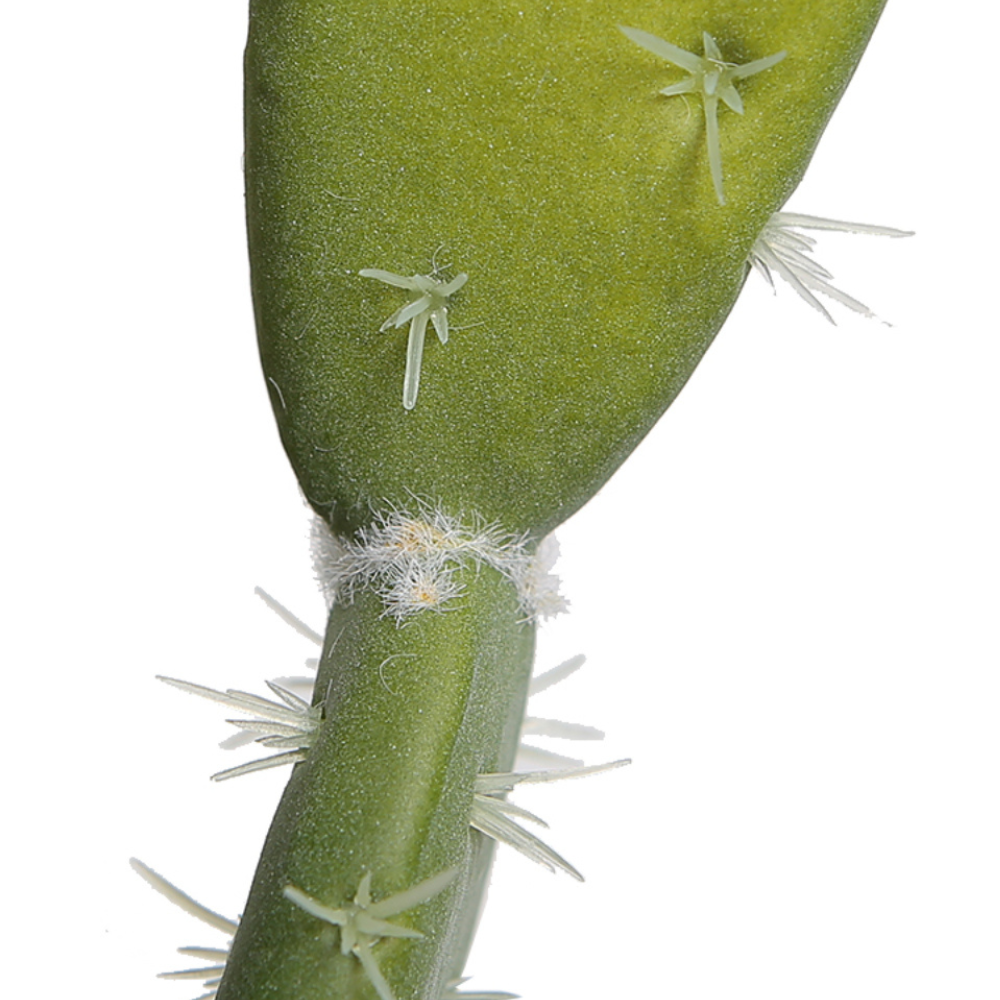 Artificial Prickly Pear Cactus In Terracotta Pot