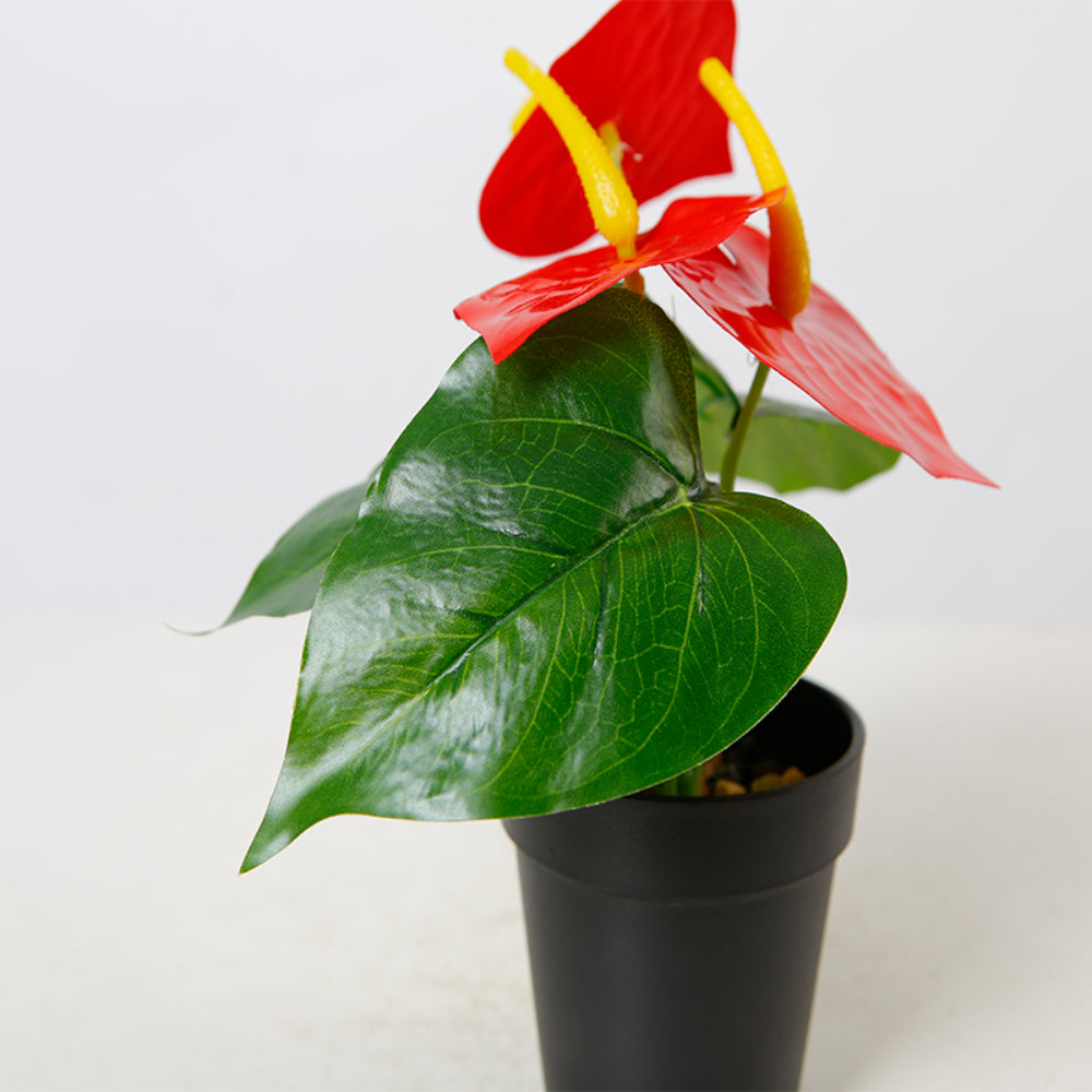 Artificial Red Anthurium Plant