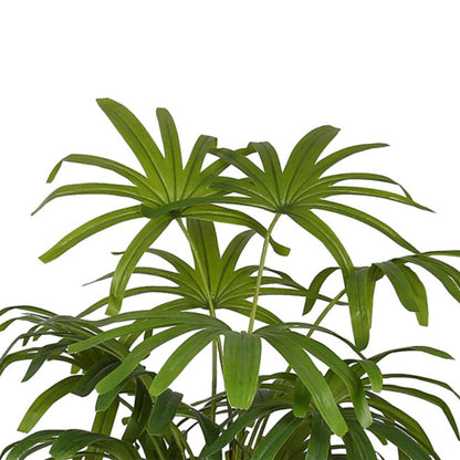 Artificial Rhapis Excelsa Plant