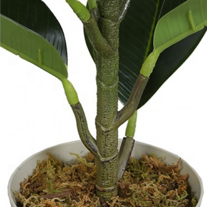 Artificial Rubber Ficus Plant Decor