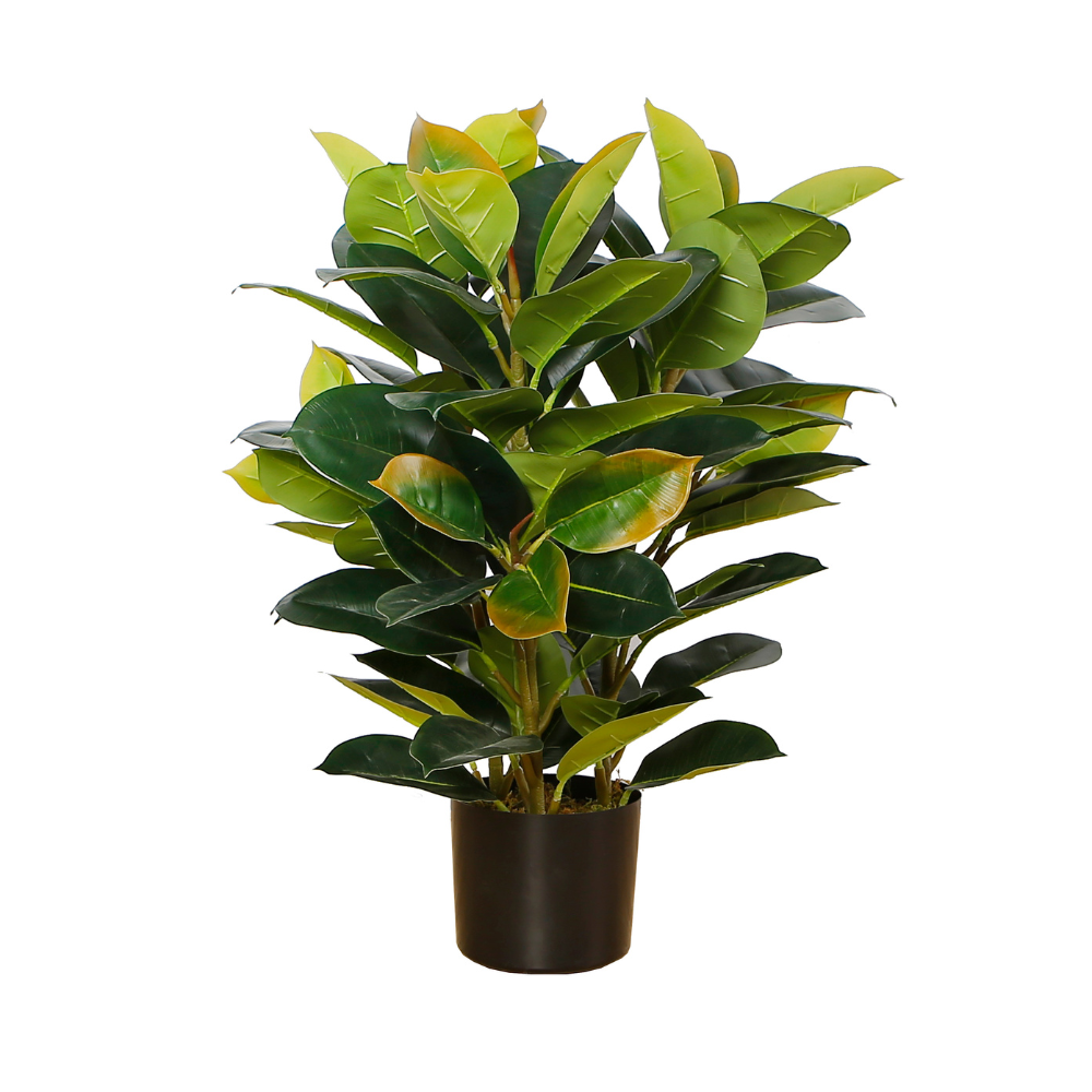 Artificial Rubber Plant In Pot