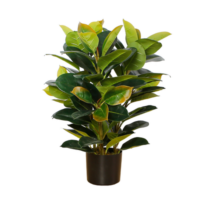 Artificial Rubber Plant In Pot