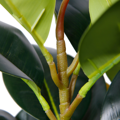 Artificial Rubber Plant In Pot