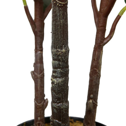 Artificial Rubber Tree