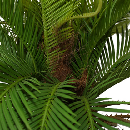 Artificial Sago Cycas Tree