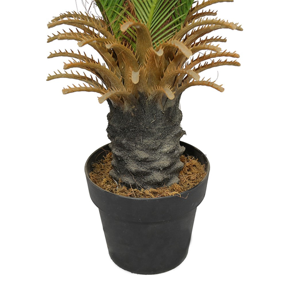 Artificial Sago Cycas Tree