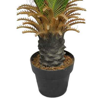 Artificial Sago Cycas Tree