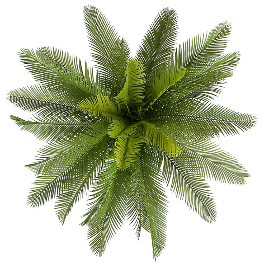 Artificial Sago Cycas Tree