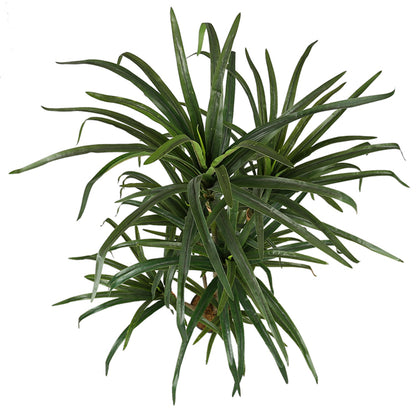 Artificial Slim Dracaena Plant