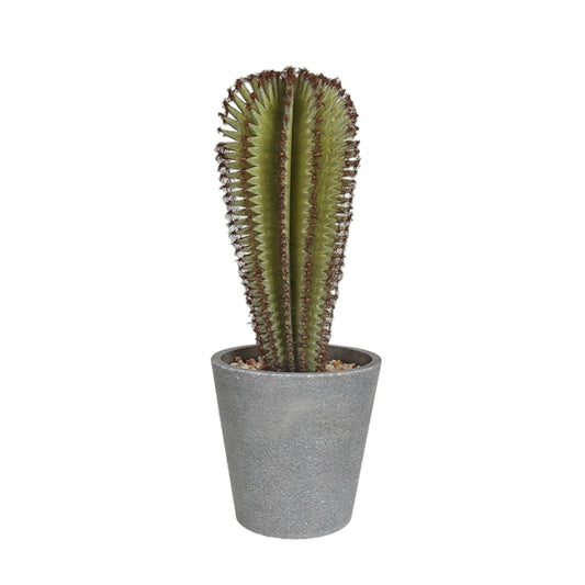 Artificial Spiky Cactus