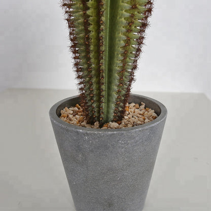 Artificial Spiky Cactus