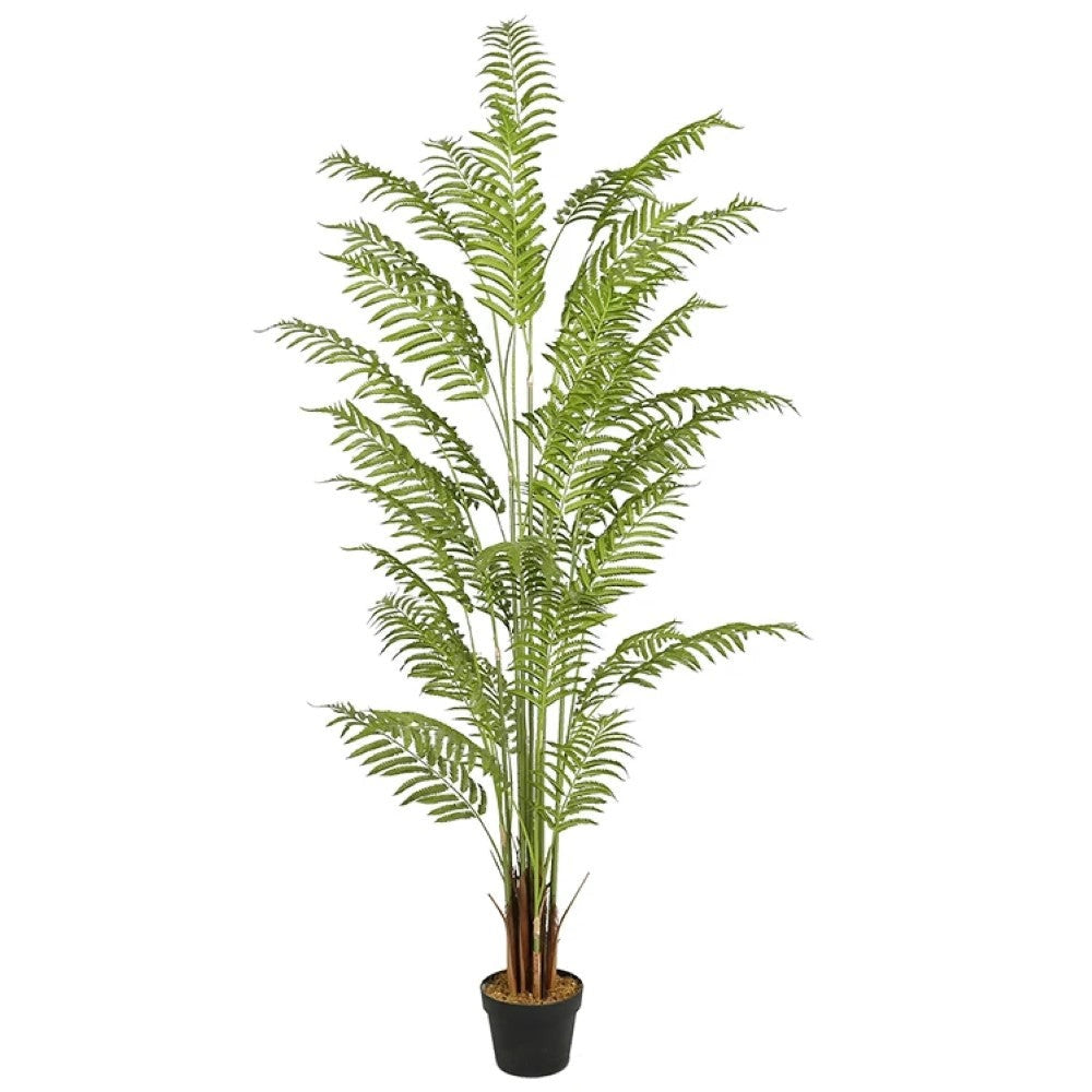 Artificial Fern Tree for Office