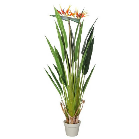 Artificial Strelitzia Decoration Plant