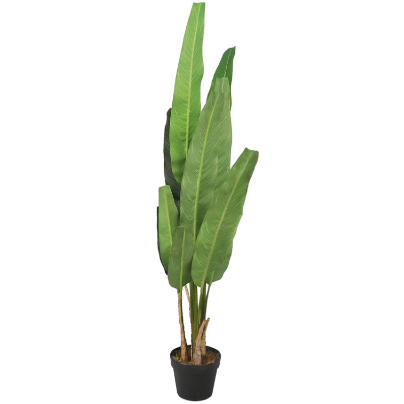 Artificial Strelitzia Plant For Home Styling