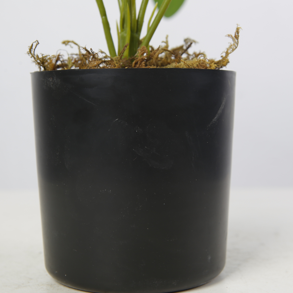 Artificial Tabletop Plant