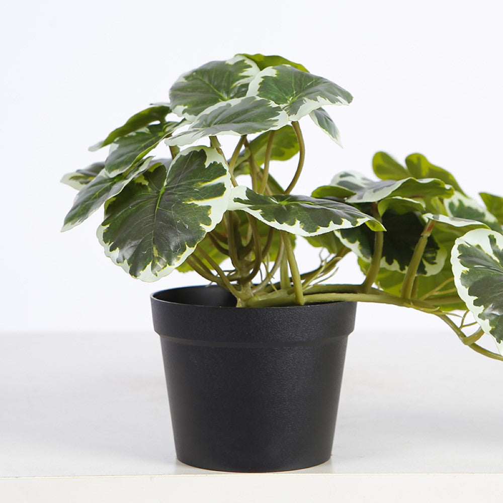 Artificial Variegated Bonsai Plant For Living Room