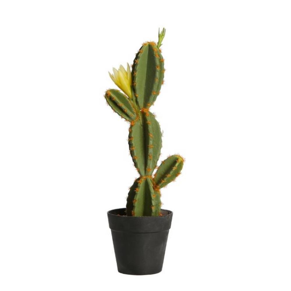 Blooming Artificial Cactus Leaf Tree