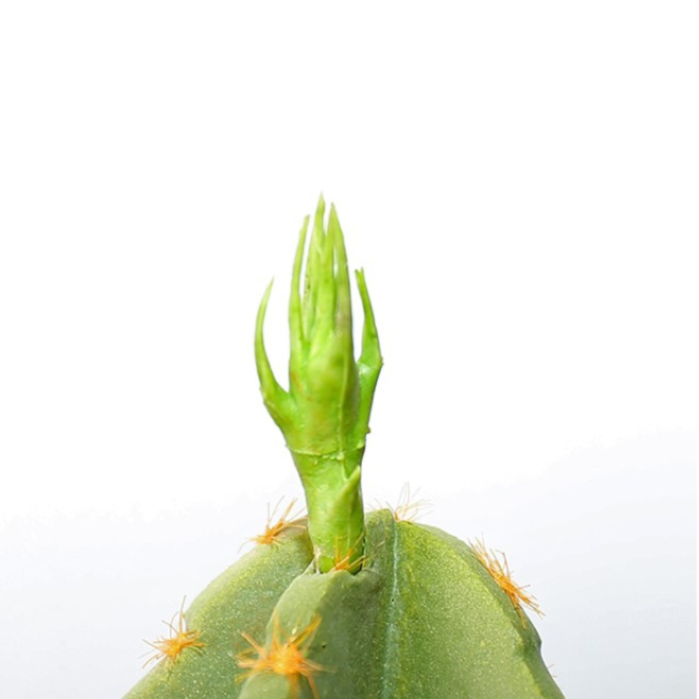 Blooming Artificial Cactus Leaf Tree