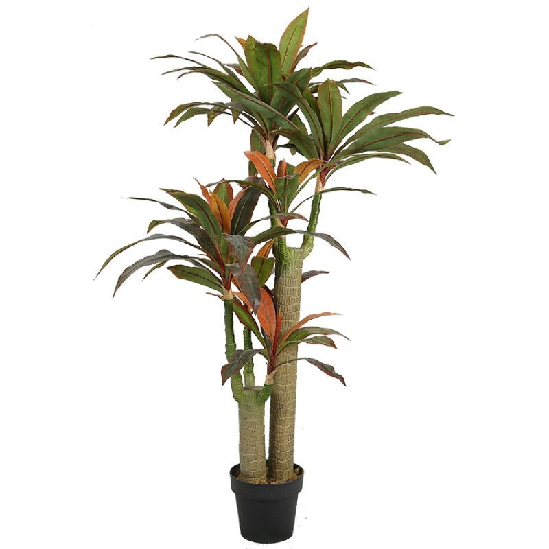 Brazilian Bonsai Exquisite Faux Tree Decor