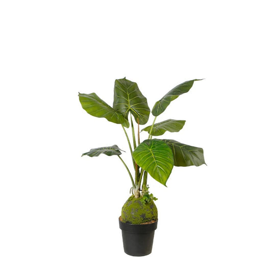 Broad Leaves Artificial Alocasia Plant