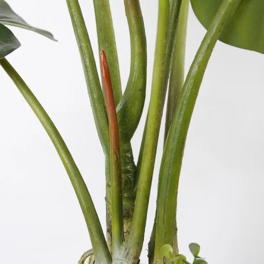 Broad Leaves Artificial Alocasia Plant