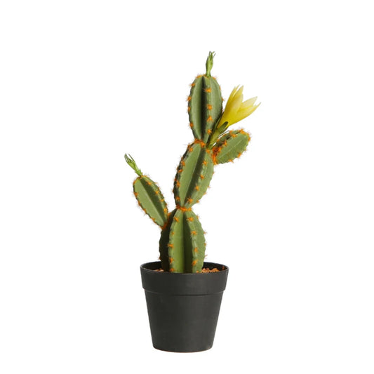 Artificial Cactus