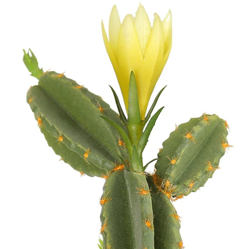 Artificial Cactus