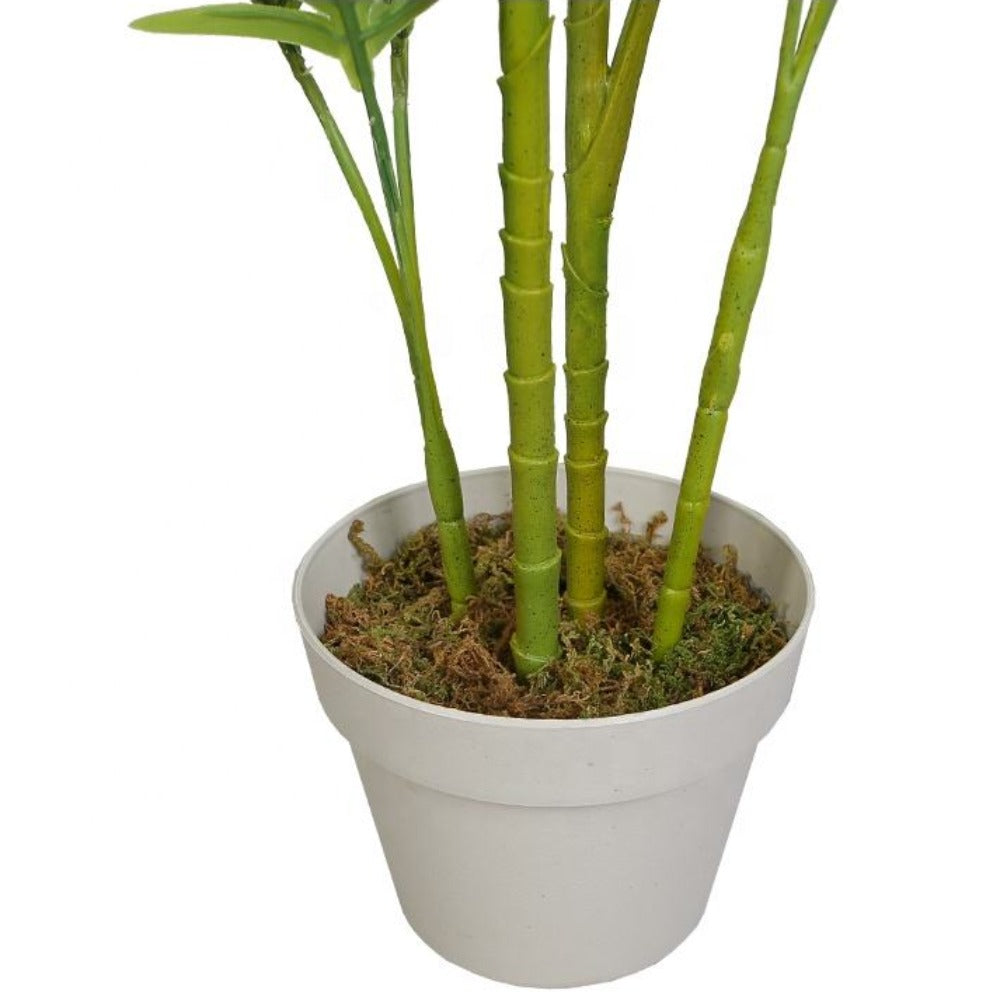 Classic Artificial Areca Tree