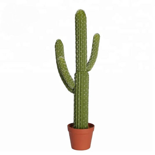 Classic Terracotta Potted Desert Plant