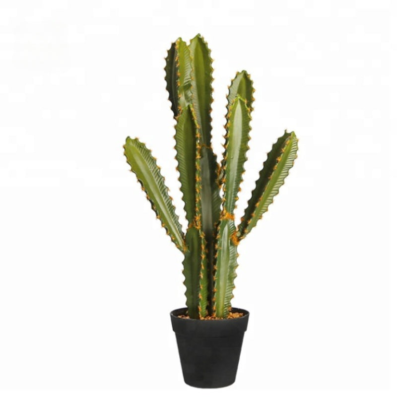 Compact EPE Artificial Cactus Plant