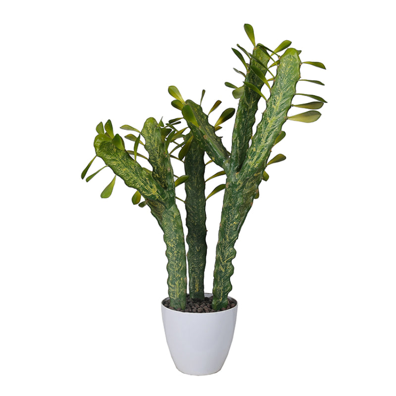 Contemporary Artificial Cactus Plant