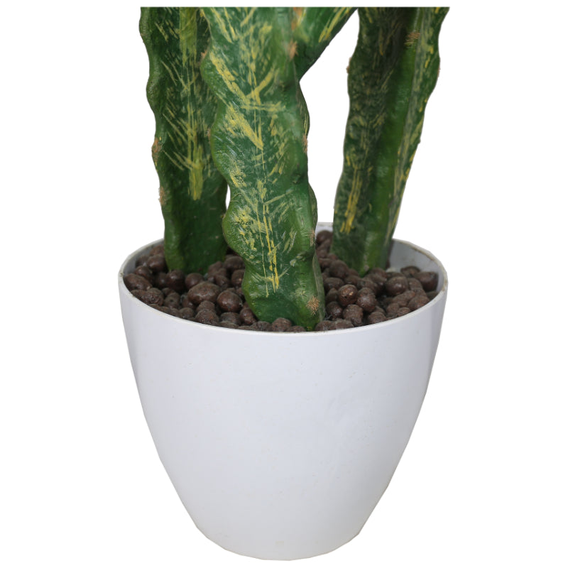 Contemporary Artificial Cactus Plant